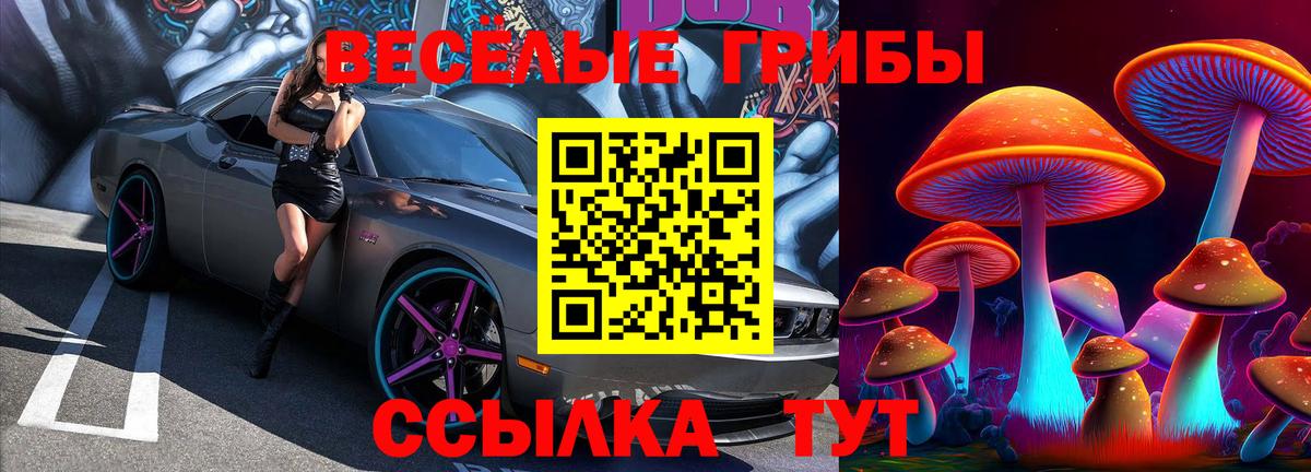 Кольчугино  Галлюциногенные грибы Psilocybine cubensis  Псилоцибиновые грибы ЛСД  дарнет шоп  Вход с VPN 